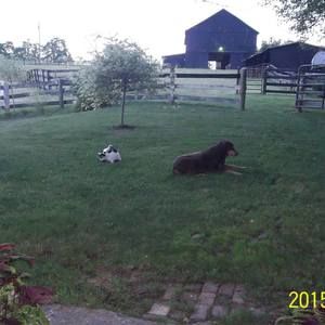 Meet your Posher, June